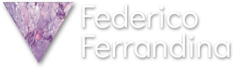 Federico Ferrandina Logo